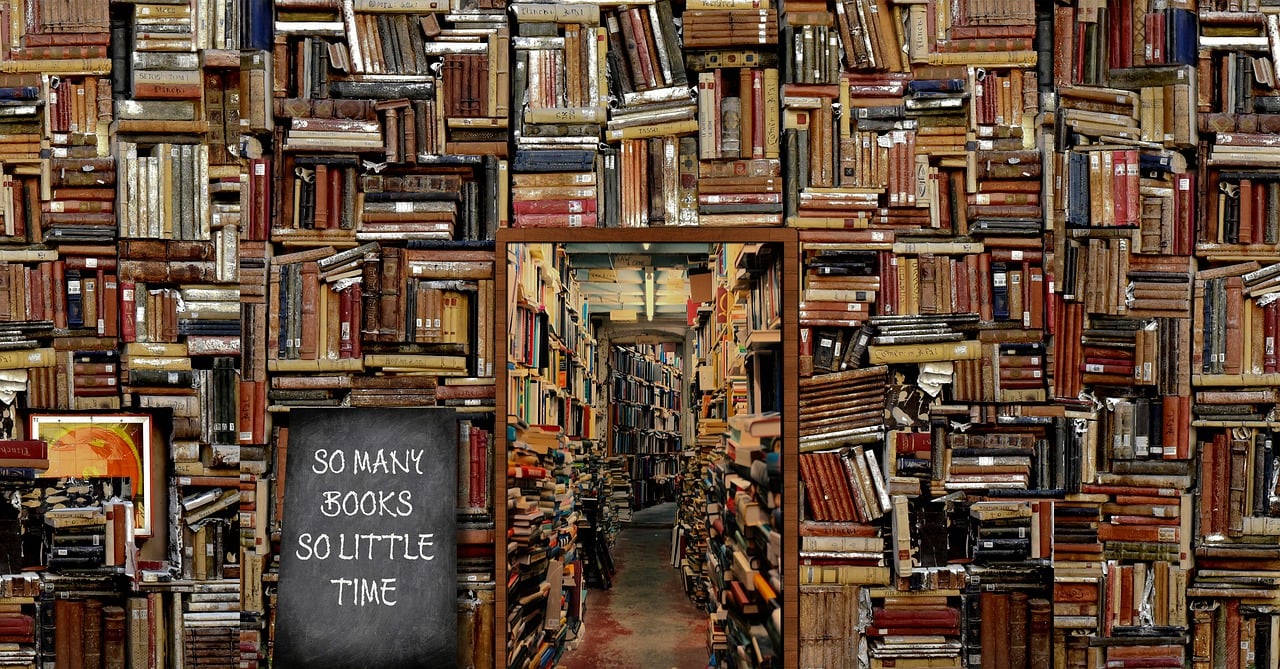 Stacks of books with a sign. So many books so little time